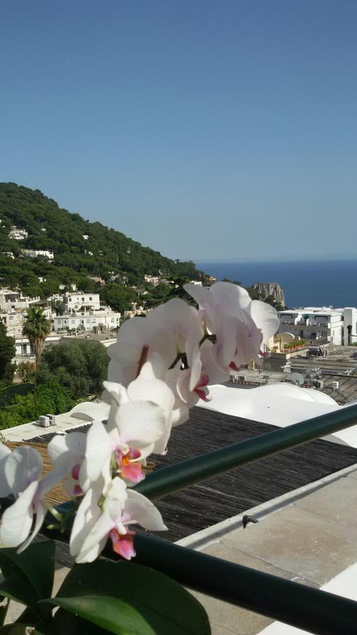 Casa Costanza Otel Capri Dış mekan fotoğraf